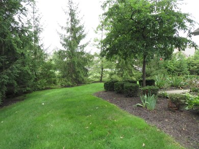Green space - tree line