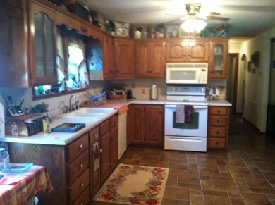 photo 1 (2)