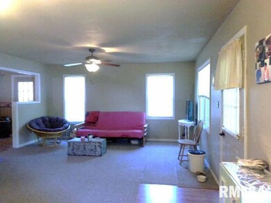 507 N Webster St, Harrisburg, IL 62946 - photo 5