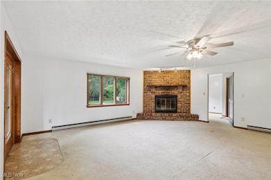 12157 Columbiana Canfield Rd, Columbiana, OH 44408 - photo 4