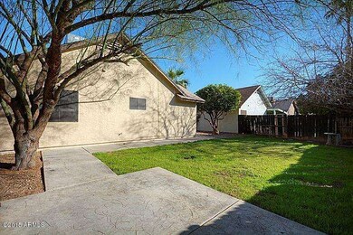 Back yard (3)
