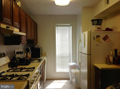 11968 Cardamom Dr unit 11966, Woodbridge, VA 22192 - photo 3