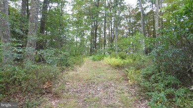 0 Top of Mountain Rd, Moorefield, WV 26836 - photo 5