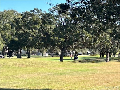 515 E Falconry Ct, Hernando, FL 34442 - photo 5