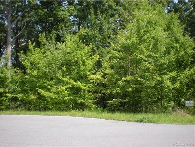 184 Lago Vista Dr unit 11, 12, & 17, New London, NC 28127 - photo 6