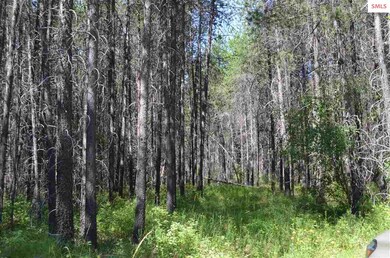 nna E Jensen Ln, Athol, ID 83801 - photo 3