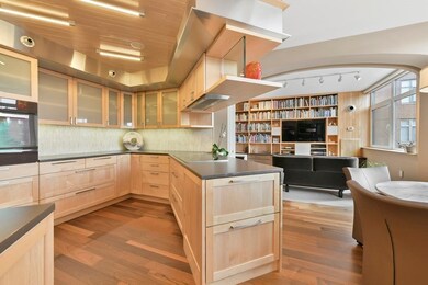 Hampton Place unit N 302, Chestnut Hill, MA 02467 - photo 5