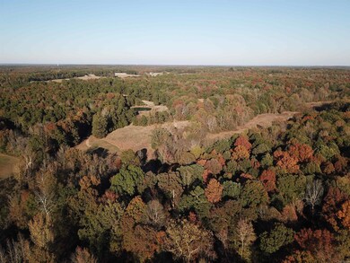 000 Greene Road 788, Paragould, AR 72450 - photo 4