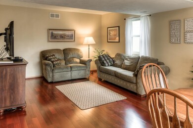 Comfy living room