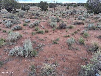 203 County Rd N5380 --, Concho, AZ 85924 - photo 7