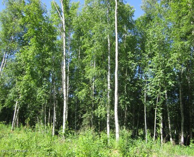 Winkler Summer view