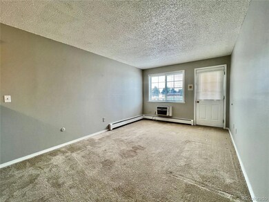 1064 Chambers Ct unit 207, Aurora, CO 80011 - photo 6