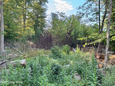 45 Clear Creek Dr, Boston, KY 40107 - photo 5