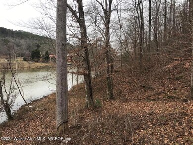 lost creek 4