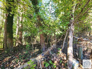 0 Dogwood Dr, Laurel Park, VA 24112 - photo 4