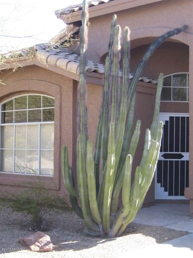 Mature landscaping