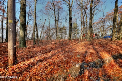 449 Evergreen Ln, Catawissa, PA 17820 - photo 6