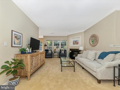 11180 Chambers Ct unit F, Woodstock, MD 21163 - photo 7