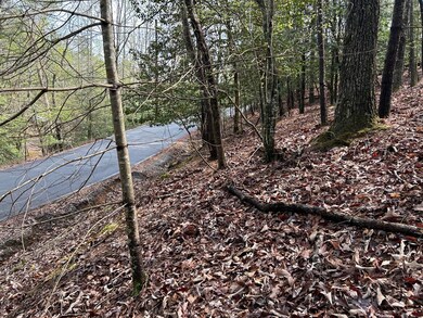 LT2756 Medina Ct, Ellijay, GA 30540 - photo 7