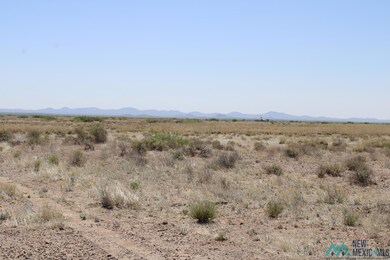 0 Harrison Rd SE unit 20232297, Deming, NM 88030 - photo 5
