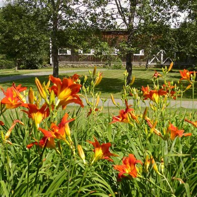 978 Keyser Hill Rd, Saint Johnsbury, VT 05819 - photo 7