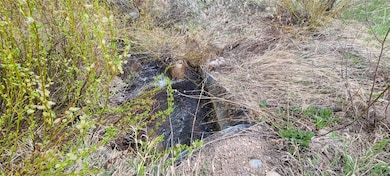 View of nature