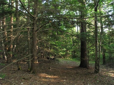 135 Wheeler Ave, Orange, MA 01364 - photo 4