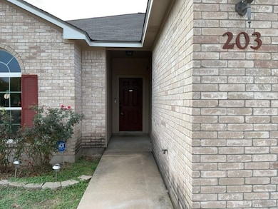 203 Kates Way, Hutto, TX 78634 - photo 2