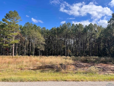 Lot 9,10,11 Cr 2204 D unit Meadows Subdivision, Tatum, TX 75691 - photo 4