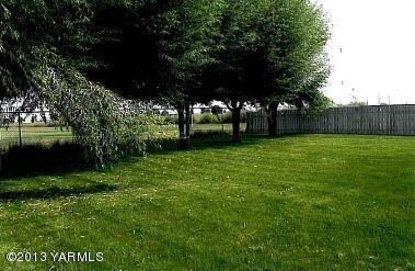 backyard2