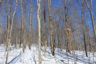 0 Mann Rd unit 2424445, Logan, OH 43138 - photo 4