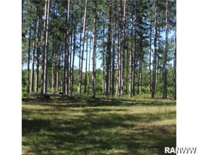 8734 N Bass Lake Rd, Danbury, WI 54830 - photo 4