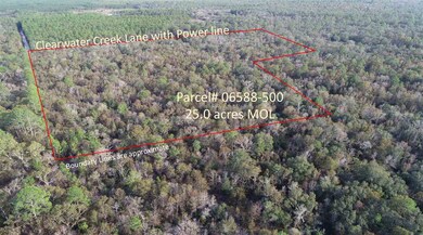 0 Clearwater Creek Ln, Perry, FL 32348 - photo 4