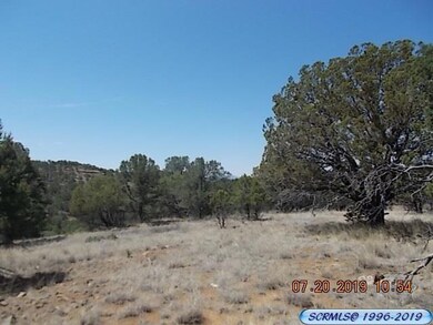 0 Wilmot Rd, Silver City, NM 88061 - photo 5