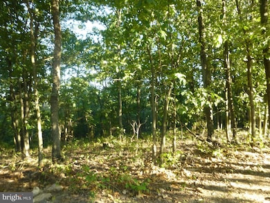 42 A Big Timber Dr, Whitacre, VA 22625 - photo 7