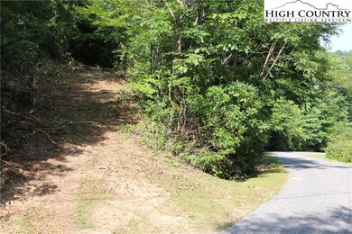 Easy sloping driveway for Lot 12.,