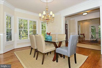 7612 Holiday Dr, Alexandria, VA 22308 - photo 7