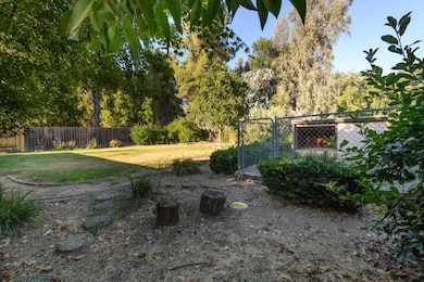 Reflection - Backyard