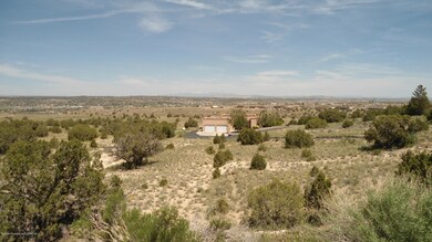 130 Road 3950, Farmington, NM 87401 - photo 2