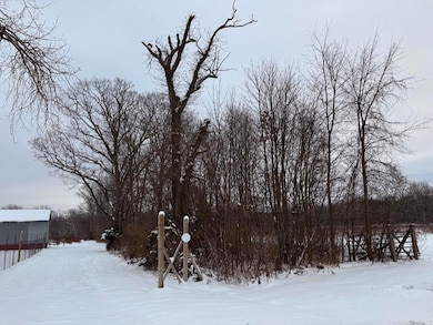 0 Vl Cr 653, Gobles, MI 49055 - photo 3