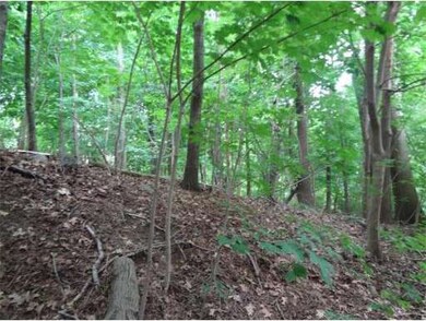 53 Lionel Ave unit F, Waltham, MA 02452 - photo 2