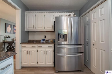 4033 New Jackson Hwy, Hodgenville, KY 42748 - photo 6