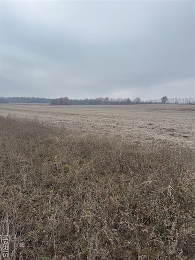 00 County Road 659, Dexter, MO 63841 - photo 3