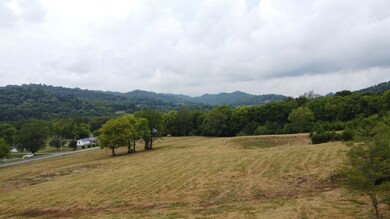 0 Smith Bend Ln unit RTC2958012, Gainesboro, TN 38562 - photo 3