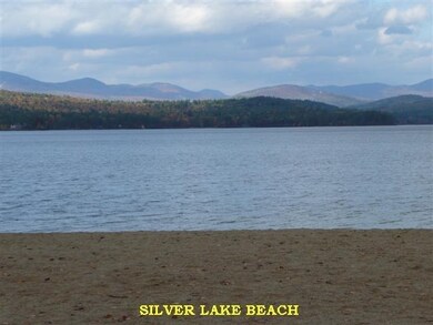 40 Huttwil Dr unit C173, Madison, NH 03849 - photo 5