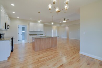 223 Locust Grove Ln, Stuarts Draft, VA 24477 - photo 6