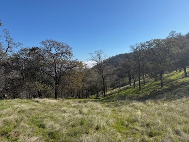 40 Big Springs Ln, Tollhouse, CA 93667 - photo 2