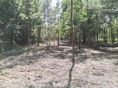 Lot1, 2,3