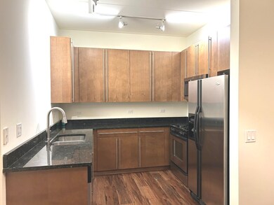 873 N Larrabee St unit 207, Chicago, IL 60610 - photo 3