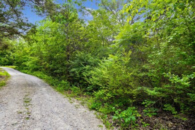 Table Rock Lake Close Acreage